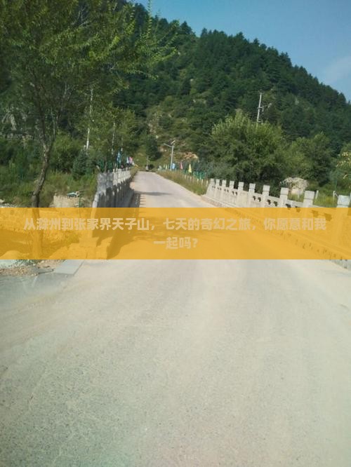 从滁州到张家界天子山，七天的奇幻之旅，你愿意和我一起吗？