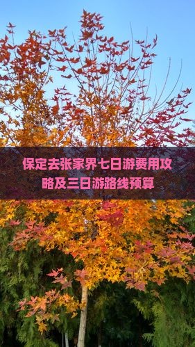 保定去张家界七日游费用攻略及三日游路线预算