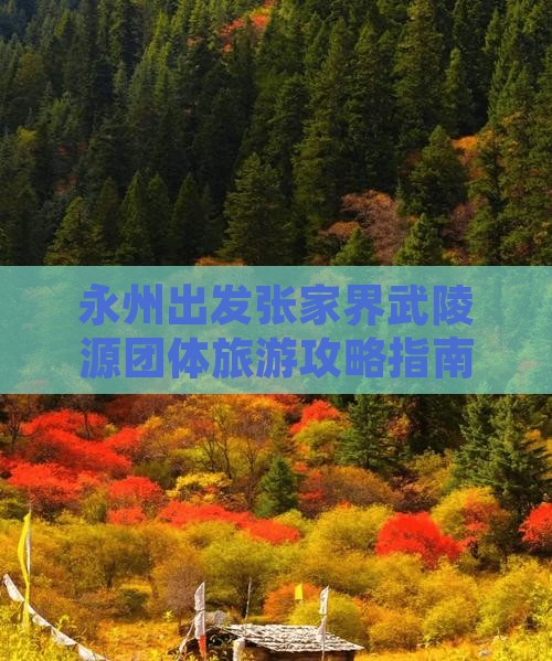 永州出发张家界武陵源团体旅游攻略指南