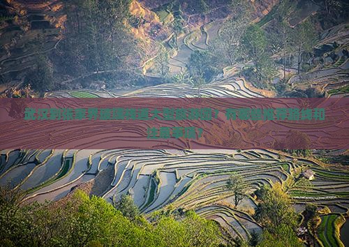 武汉到张家界玻璃栈道大型旅游团？有哪些推荐路线和注意事项？