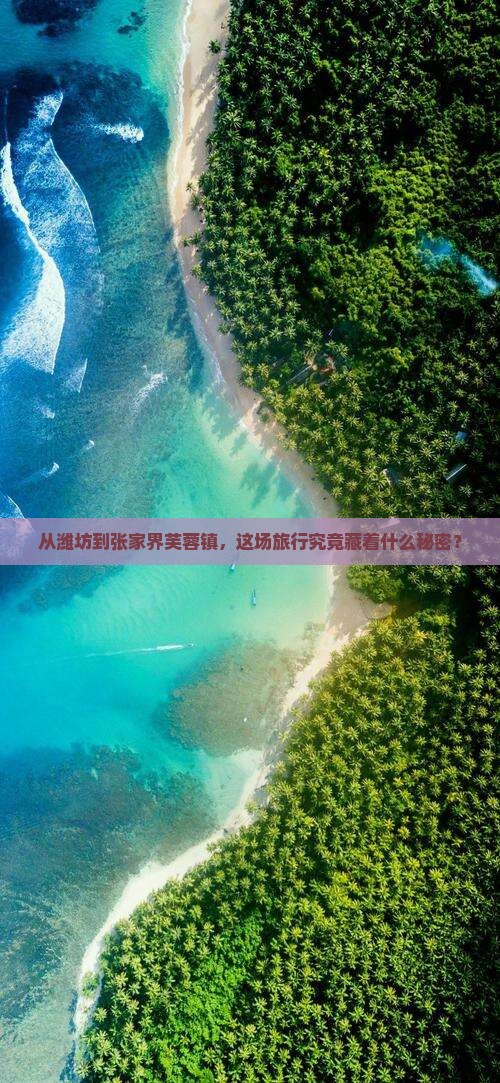 从潍坊到张家界芙蓉镇，这场旅行究竟藏着什么秘密？