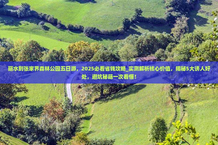 丽水到张家界森林公园五日游 丽水到张家界森林公园五日游