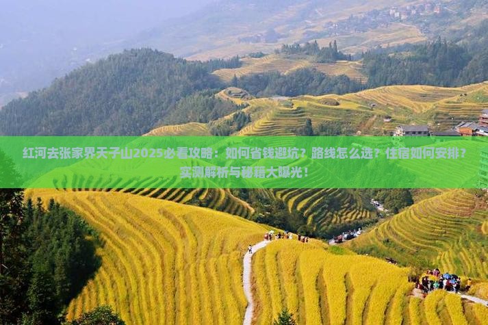 红河去张家界天子山攻略