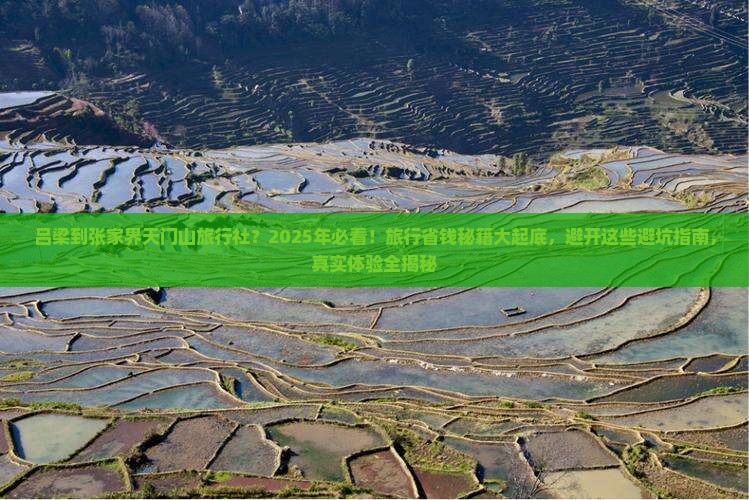 吕梁到张家界天门山旅行社