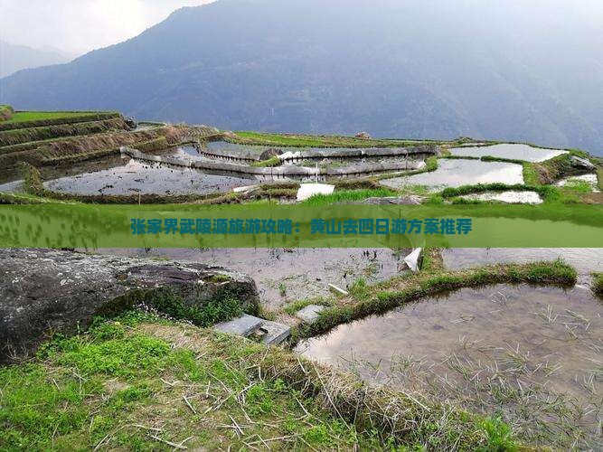 黄山去张家界武陵源四日游