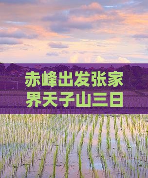 赤峰到张家界天子山三日游