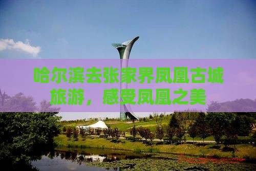 哈尔滨去张家界凤凰古城个人游