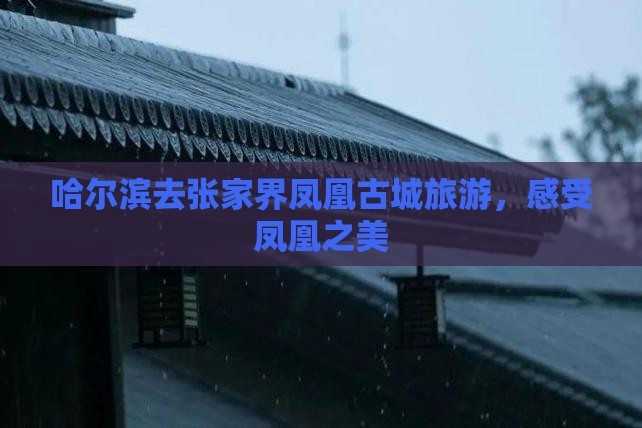 哈尔滨去张家界凤凰古城个人游