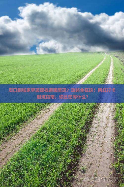 周口到张家界玻璃栈道哪里玩