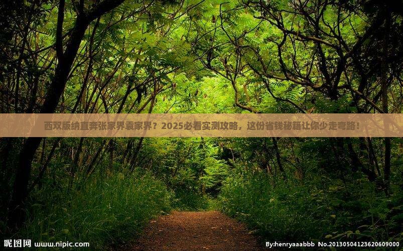 西双版纳到张家界袁家界必去地