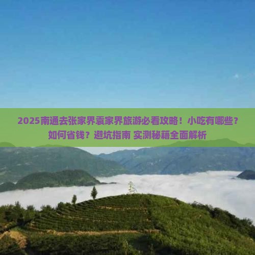 南通去张家界袁家界旅游小吃