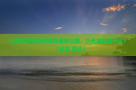 呼和浩特去张家界森林公园六日游