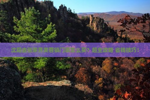 沈阳去张家界芙蓉镇门票