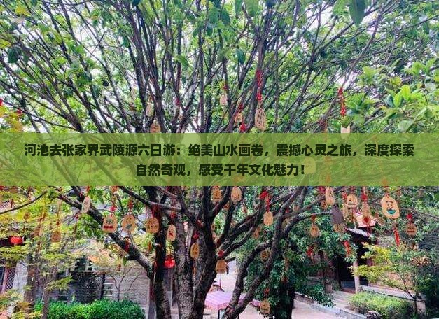 河池去张家界武陵源六日游