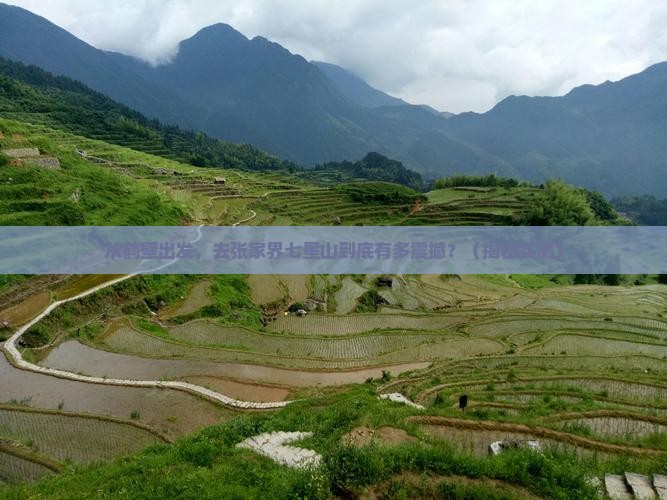 鹤壁去张家界七星山旅游