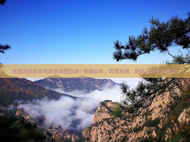 合肥到张家界凤凰古城四日游