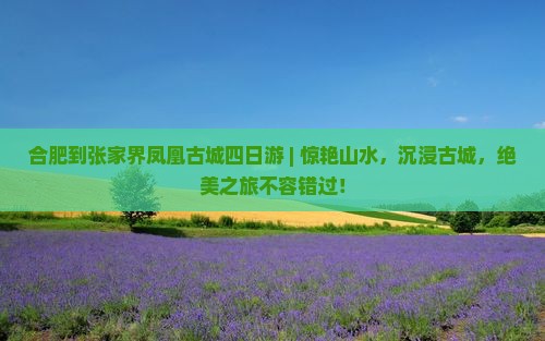 合肥到张家界凤凰古城四日游