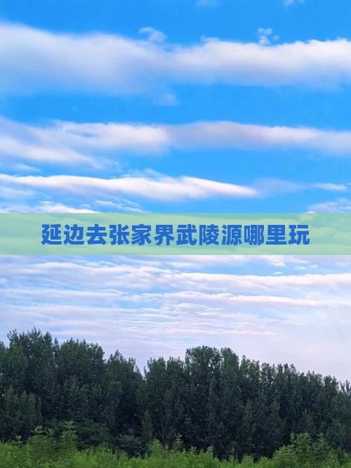 延边去张家界武陵源哪里玩