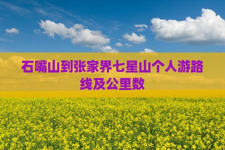 石嘴山到张家界七星山个人游