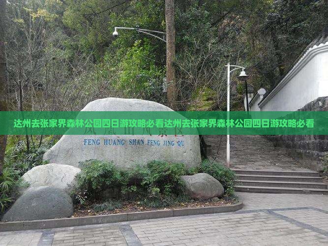 达州去张家界森林公园四日游