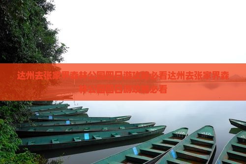 达州去张家界森林公园四日游
