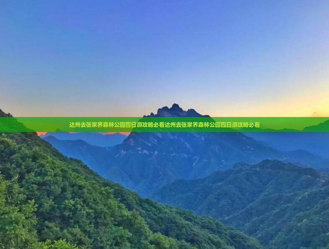 达州去张家界森林公园四日游