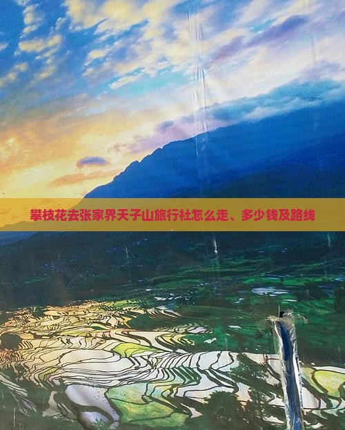 攀枝花去张家界天子山旅行社