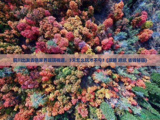 铜川去张家界玻璃栈道攻略