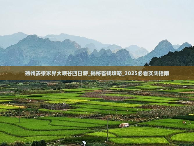扬州去张家界大峡谷四日游