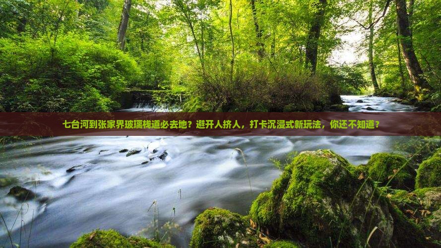 七台河到张家界玻璃栈道必去地