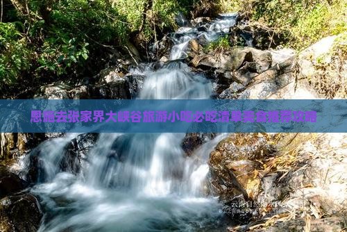 恩施去张家界大峡谷旅游小吃