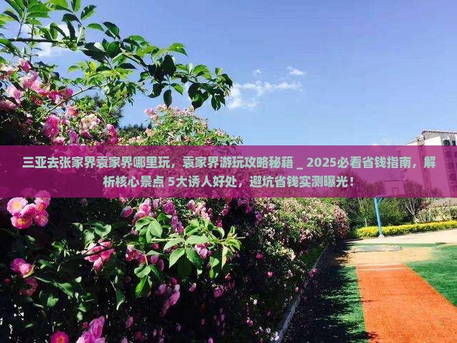 三亚去张家界袁家界哪里玩