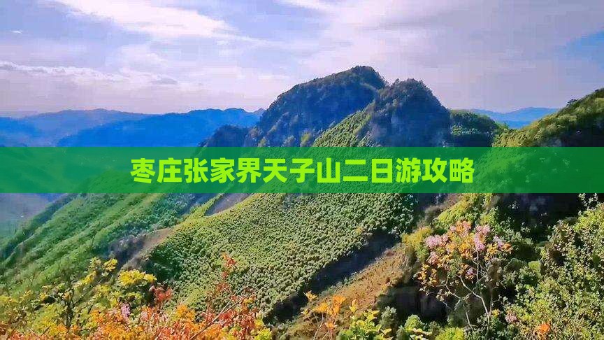 枣庄到张家界天子山二日游