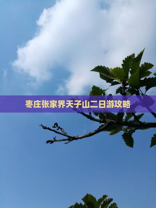 枣庄到张家界天子山二日游