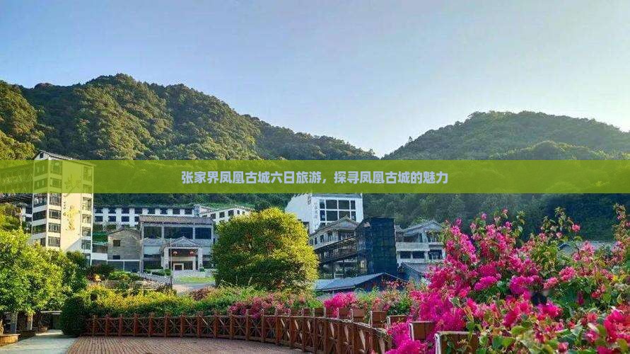 海拉尔到张家界凤凰古城六日游