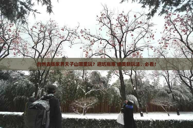 台州去张家界天子山哪里玩