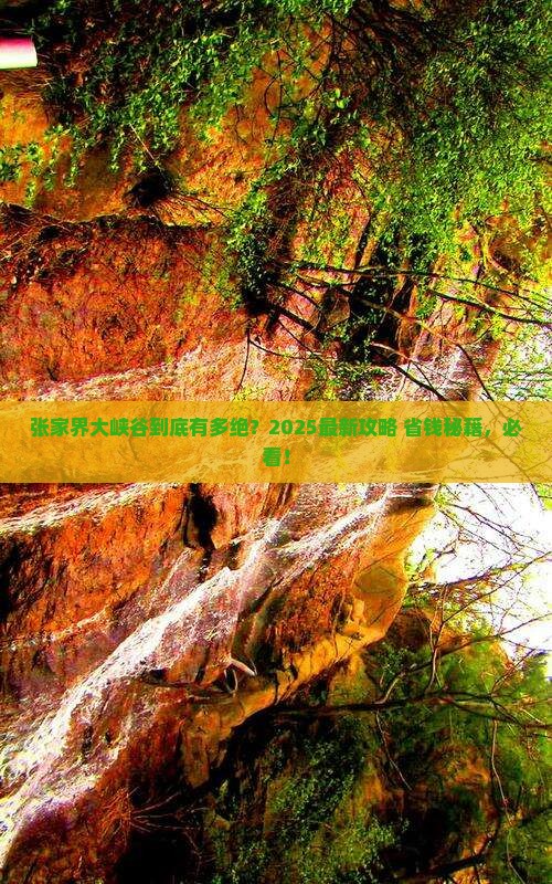 白银去张家界大峡谷景点