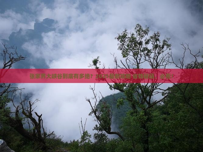 白银去张家界大峡谷景点