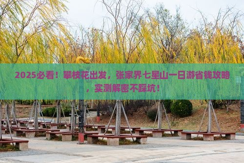 攀枝花到张家界七星山一日