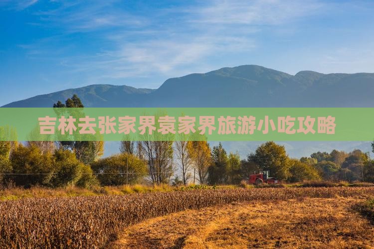 吉林去张家界袁家界旅游小吃 吉林去张家界袁家界旅游小吃