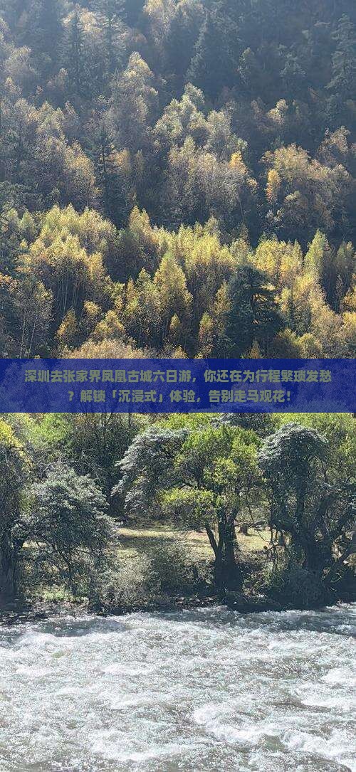 深圳去张家界凤凰古城六日游