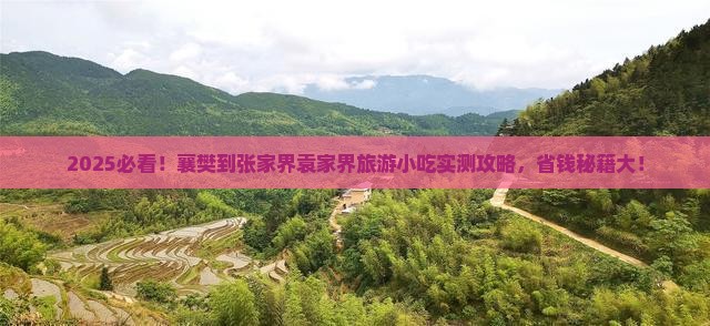 襄樊到张家界袁家界旅游小吃