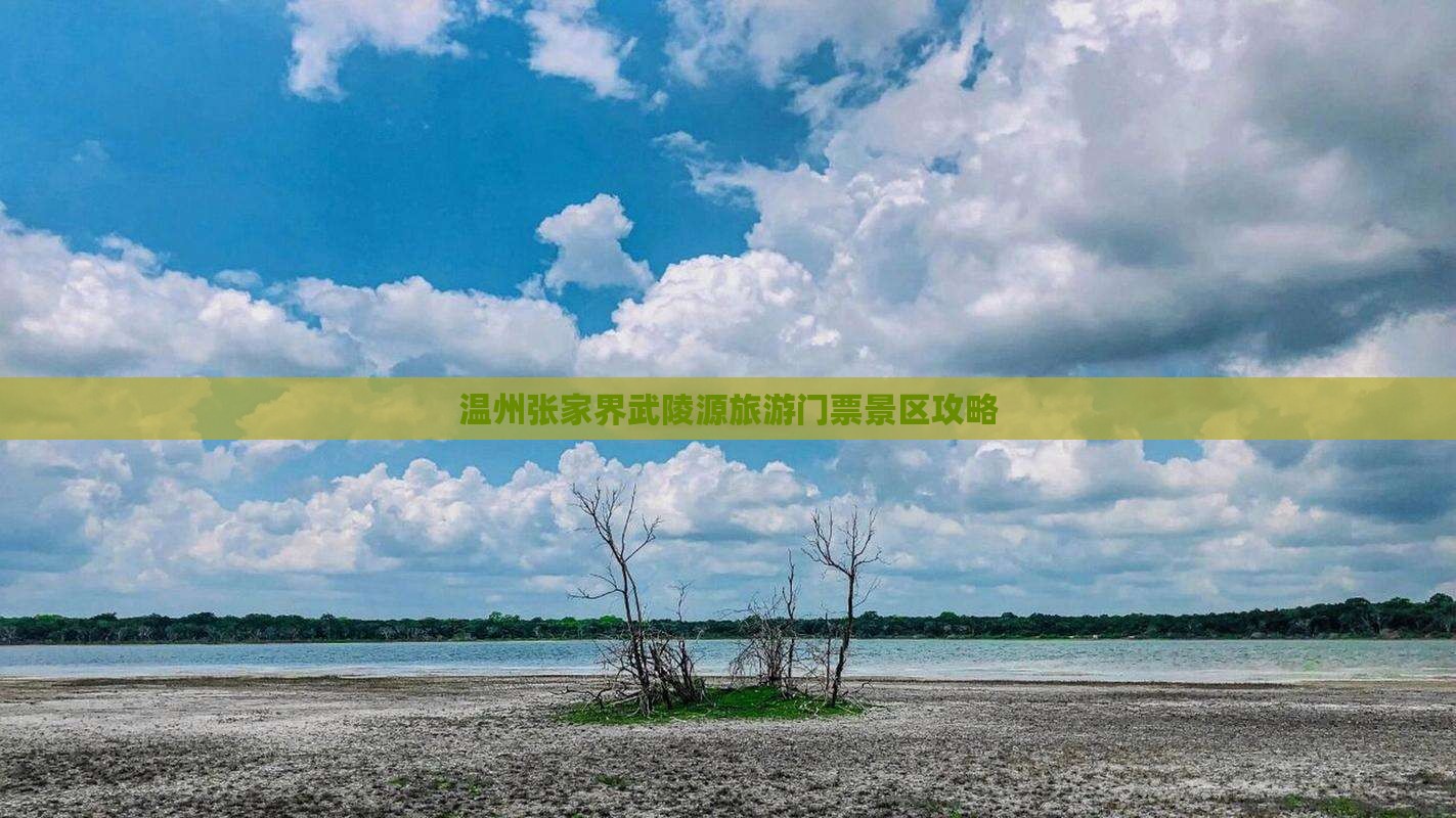 温州到张家界武陵源门票