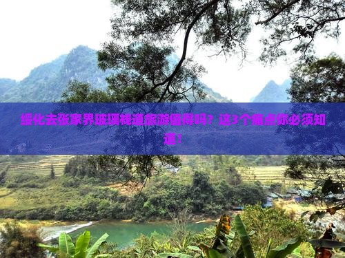 绥化去张家界玻璃栈道旅游