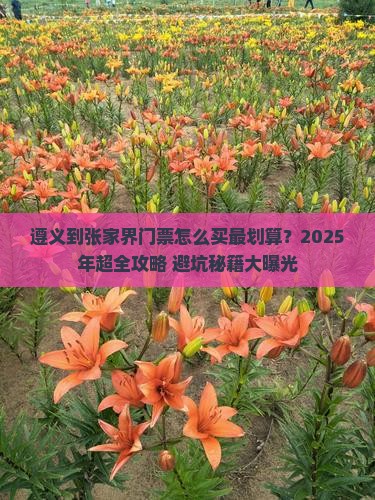 遵义到张家界门票
