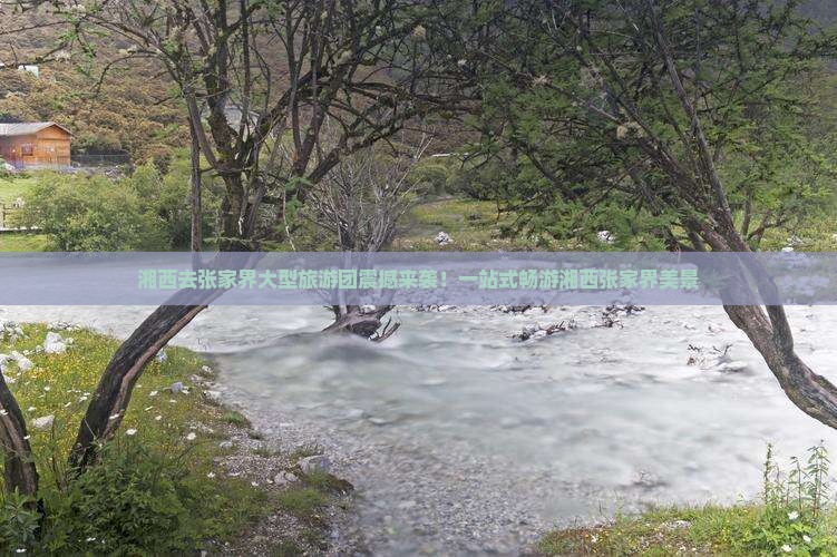 湘西去张家界大型旅游团