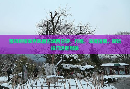 宝鸡到张家界凤凰古城四日游