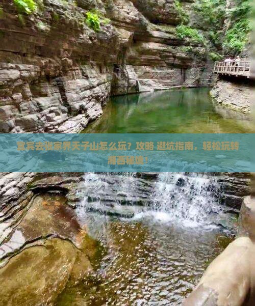 宜宾去张家界天子山哪里玩