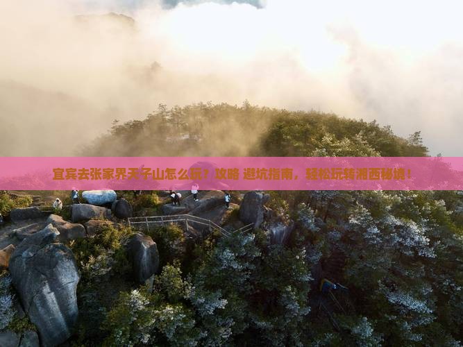 宜宾去张家界天子山哪里玩