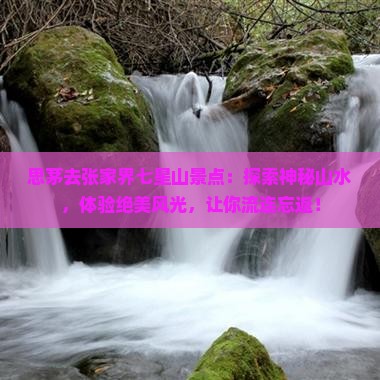 思茅去张家界七星山景点
